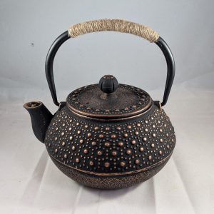 Bronze Cast Iron Teapot