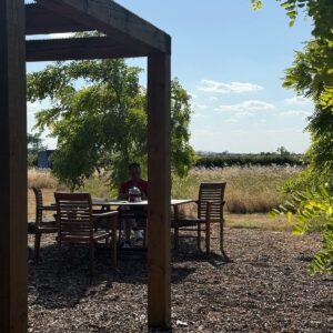 A person sits alone at a wooden outdoor table under the trees, enjoying Tea Tales & Timeless Art whilst sunlight filters through to create dappled shadows on the ground and tall grass sways in the background.