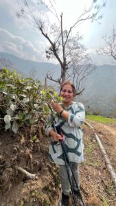 A woman stands on a hillside holding tea leaves, smiling at the camera, with mountains and trees in the background under a cloudy sky.